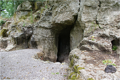 Heaning Wood Bone Cave