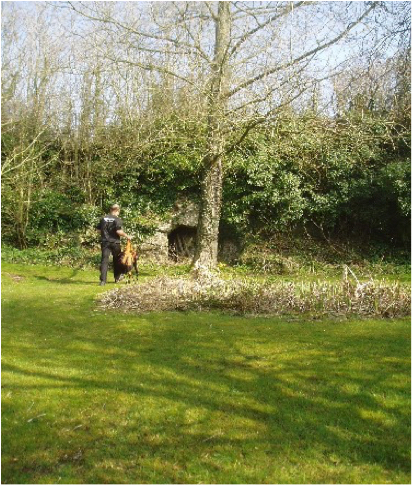 Heaning Wood Bone Cave