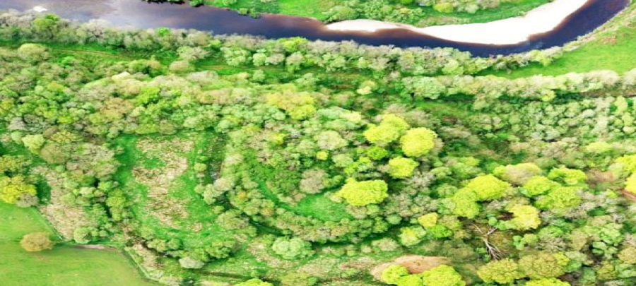 Earthworks of Liddel Strength near Liddel Water on the Scottish border